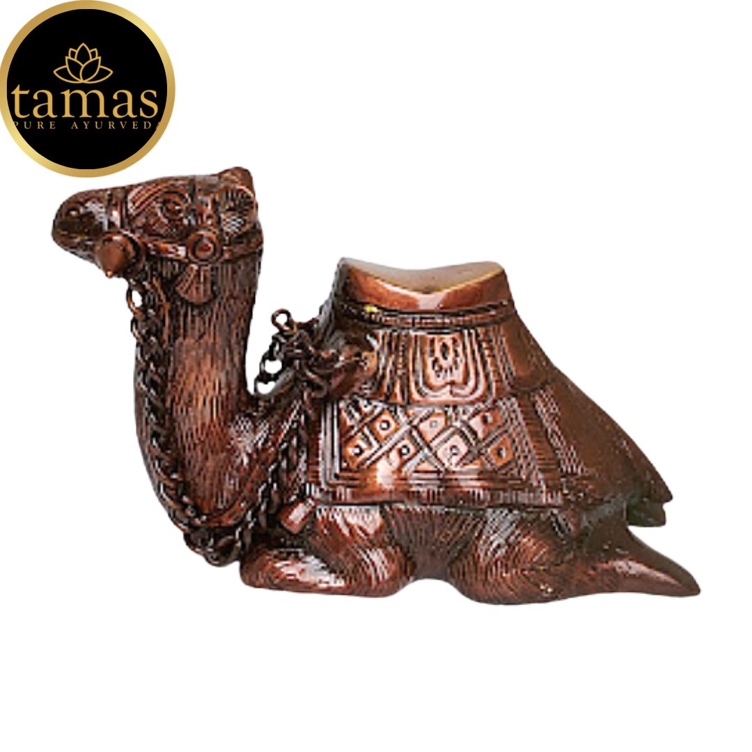 Tamas Brass MohanJodero Elegant Brown Finish Sitting Camel Sculpture (5 x 4 Inches, Brown) (Pack of 1)