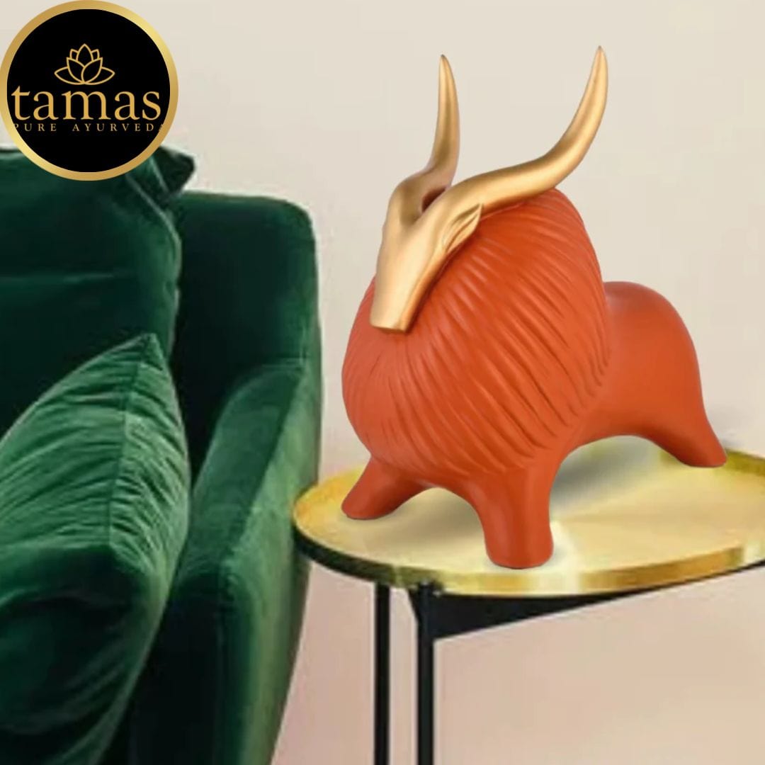 Tamas Himalayan Yak