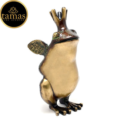 Tamas Brass The Frog Prince Showpiece (2 x 7 Inches, Multicolor) (Pack of 1)