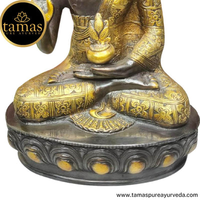 Tamas Brass Handcrafted Lord Buddha Blessing Position  Statue / Idol with Antique Finish (7 x 5 x 12 Inches, Brown & Golden) (Pack of 1)