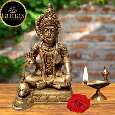 Tamas Brass Blessing Lord Hanuman Idol(Golden) Height: 6 inches