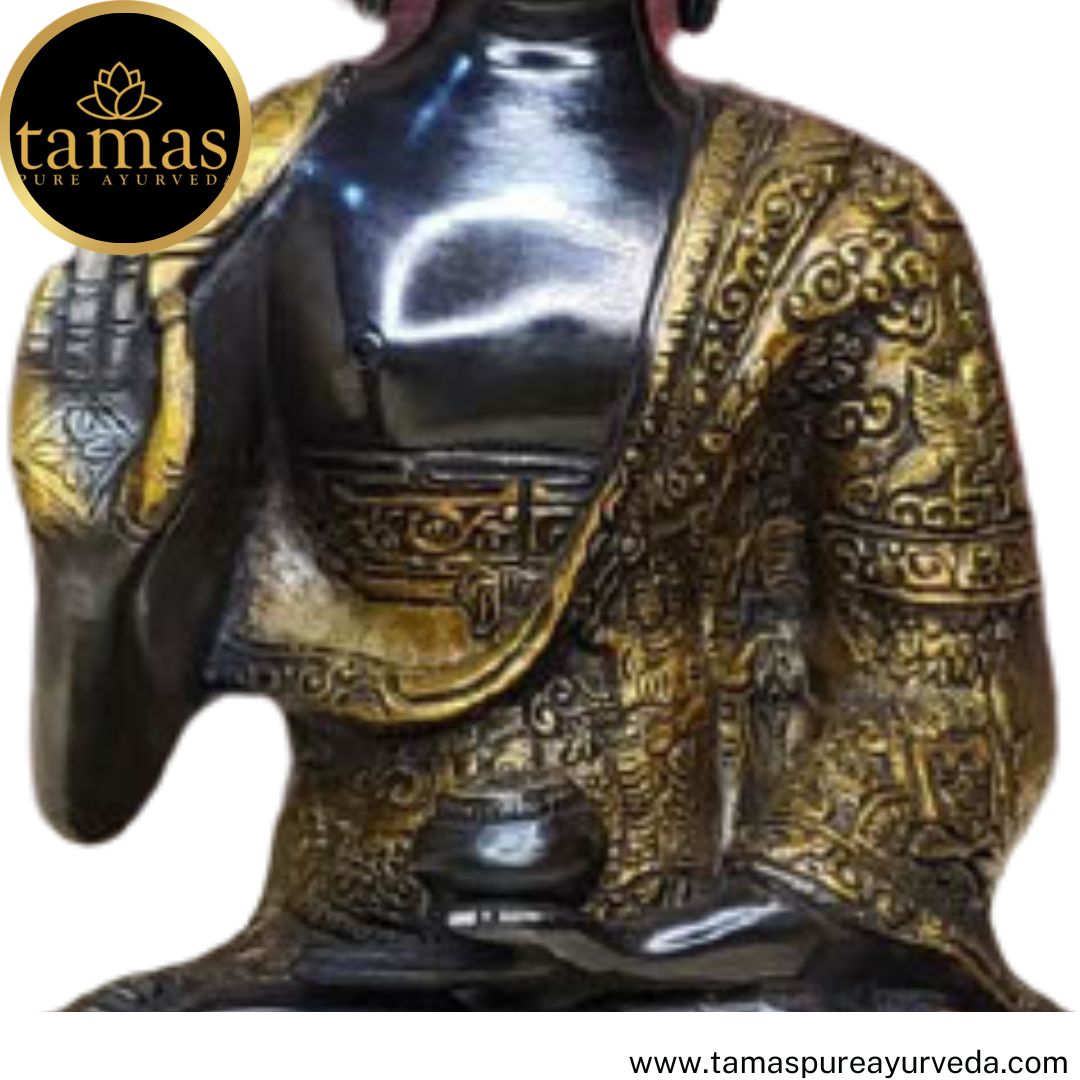 Tamas Brass Handcrafted Lord Buddha Statue / Idol with Antique Finish (8 x 5 x 10 Inches, Golden & Black) (Pack of 1)