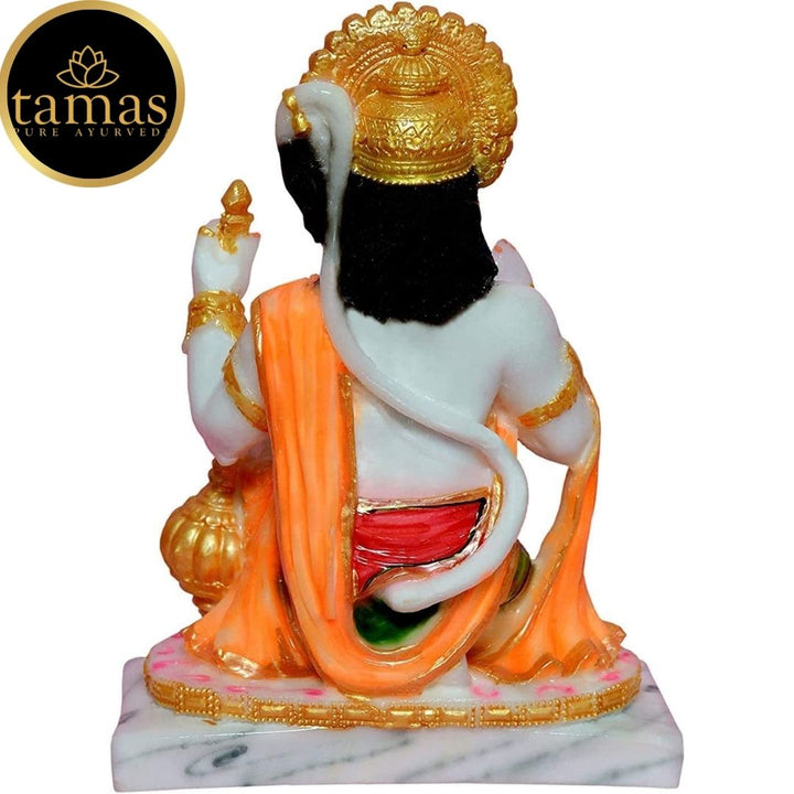 Tamas Marble Dust Gold Plated Lord Hanuman Ji Statue (8.5 Inches, Multicolor)