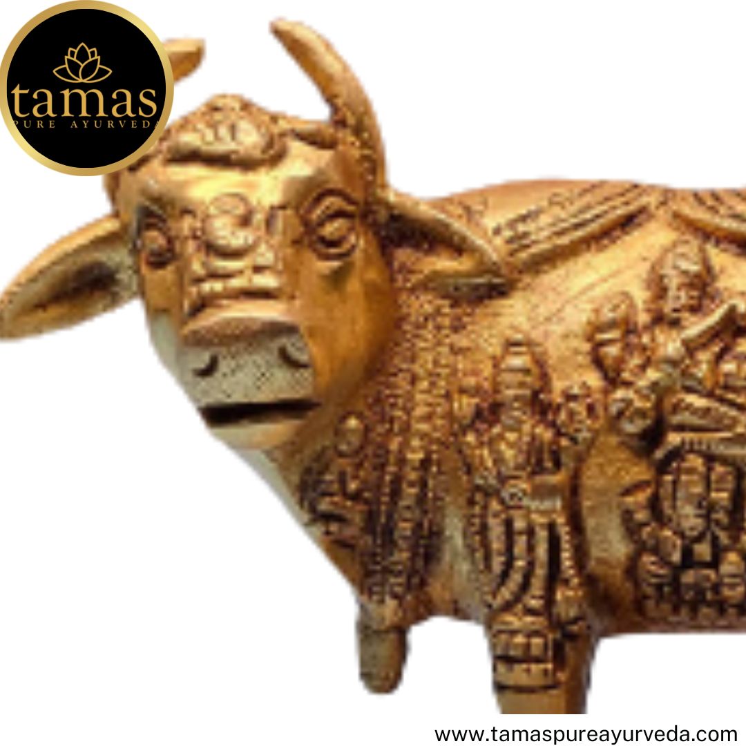 Tamas Brass Handcrafted Kamdhenu Cow and Calf Statue / Idol with Antique Finish (5 x 3.5 x 5 Inches, Golden) (Pack of 1)