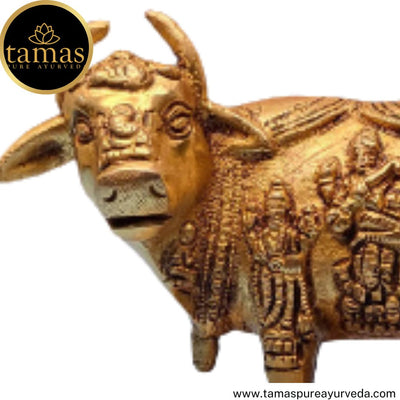 Tamas Brass Handcrafted Kamdhenu Cow and Calf Statue / Idol with Antique Finish (5 x 3.5 x 5 Inches, Golden) (Pack of 1)