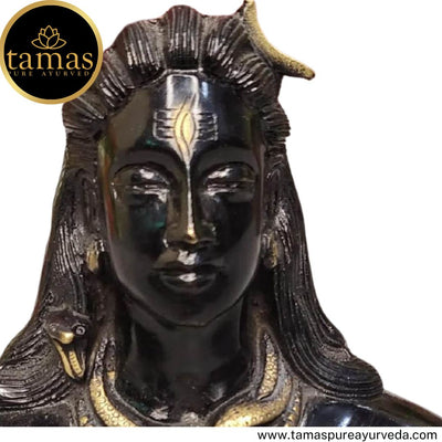 Tamas Brass Handcrafted Lord Adiyogi Mahadev Shiv Shankara Statue/ Idol with Antique Finish (6.5 x 4.5 x 5 Inches, Black) (Pack of 1)