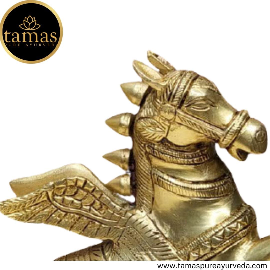 Brass Handcrafted Flying Angel Horse