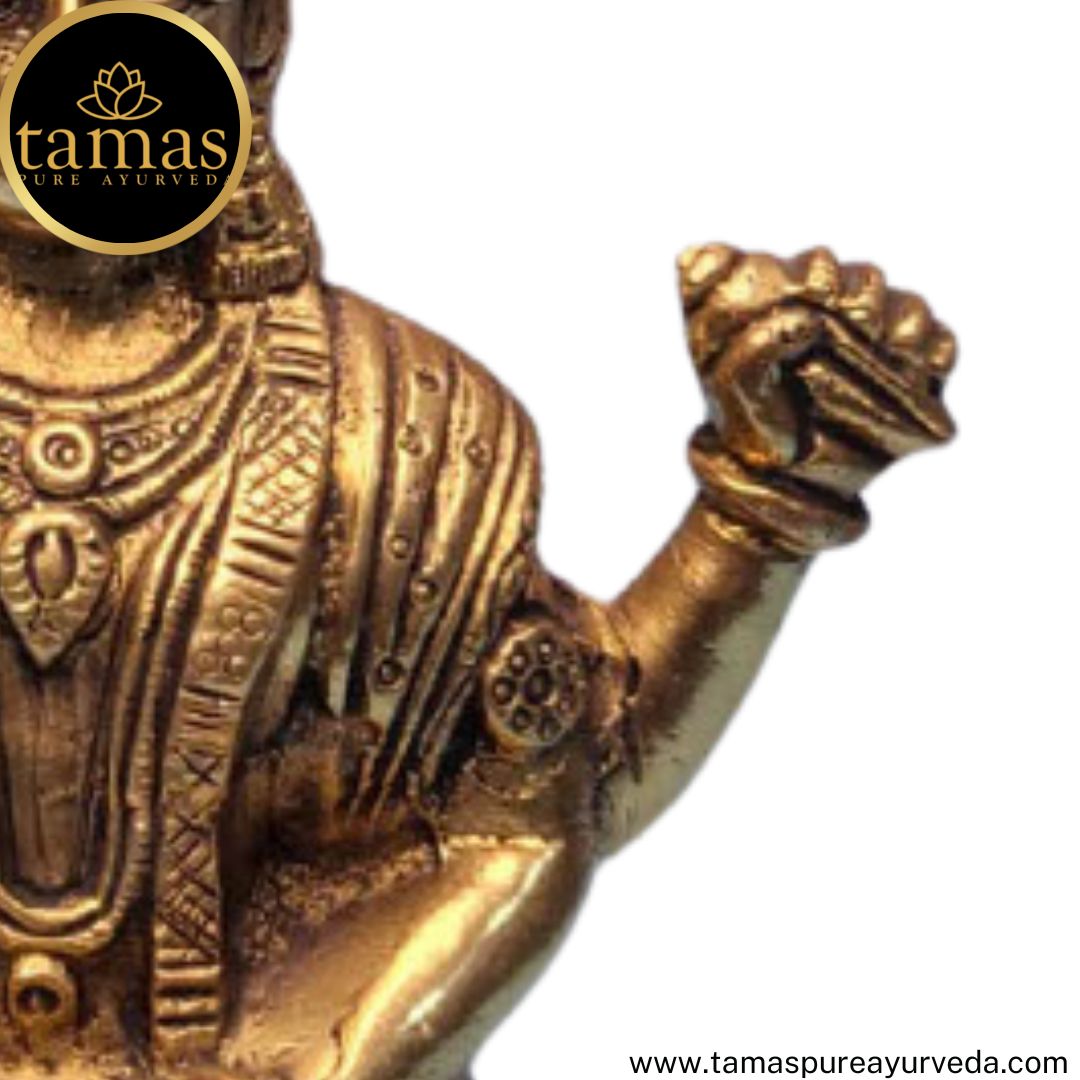 Tamas Brass Handcrafted Lord Badrinath Ji Statue / Idol  with Antique Finish (5 x 3.5 x 5.5 Inches, Golden) (Pack of 1)