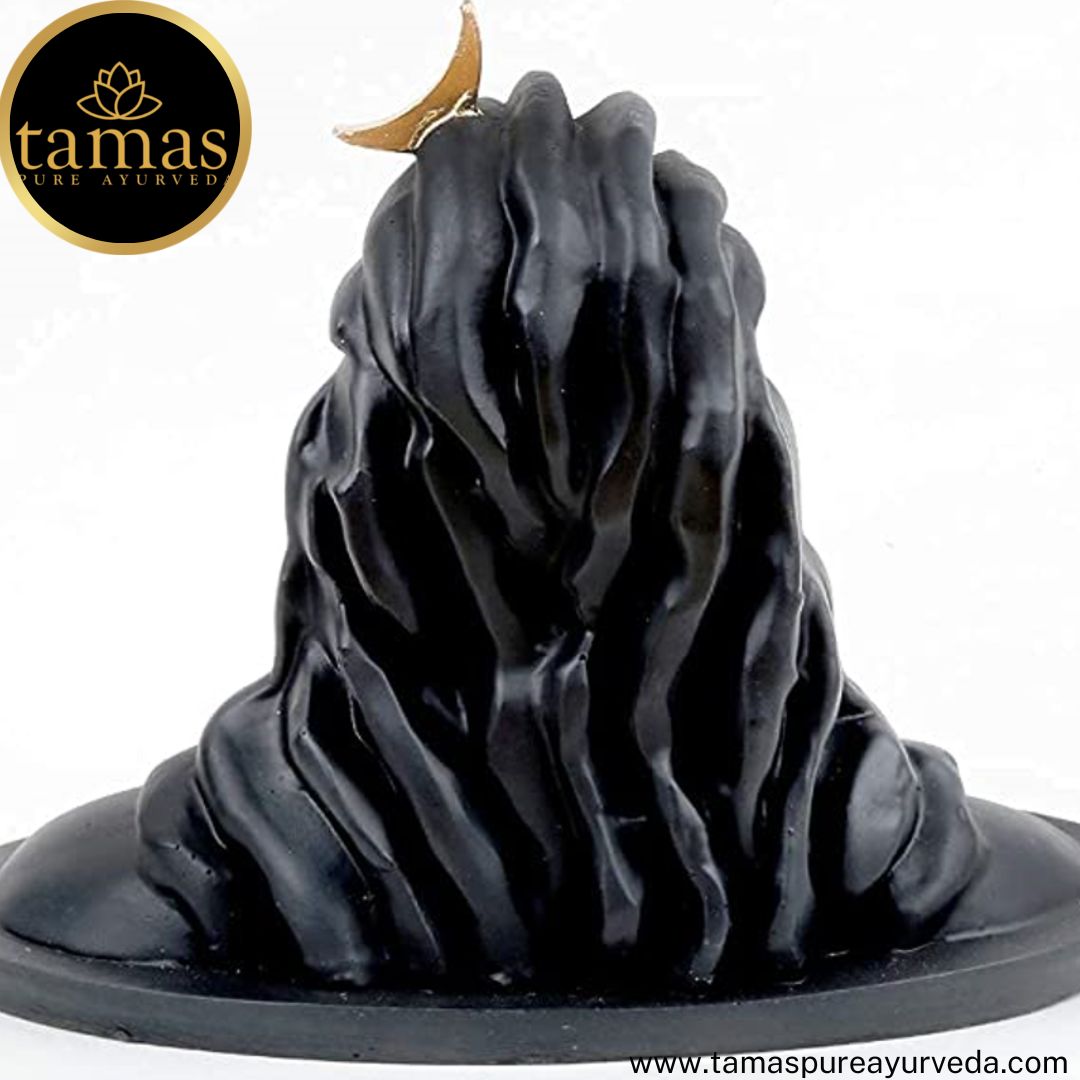Tamas Brass Handcrafted Lord Adiyogi Mahadev Shiv Shankara Statue/ Idol with Antique Finish (6.5 x 4.5 x 5 Inches, Black) (Pack of 1)