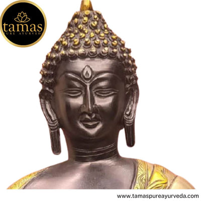 Tamas Brass Handcrafted Lord Buddha Sakyamuni Statue / Idol with Antique Finish (13 x 8.5 x16 Inches, Brown & Golden) (Pack of 1)