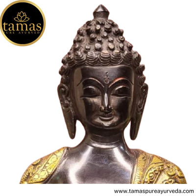 Tamas Brass Handcrafted Buddha Statue Handmade Sitting Blessing Buddhism Statue / Idol with Antique Finish (7.5 X 5 X 10 Inches, Brown & Golden) (Pack of 1)