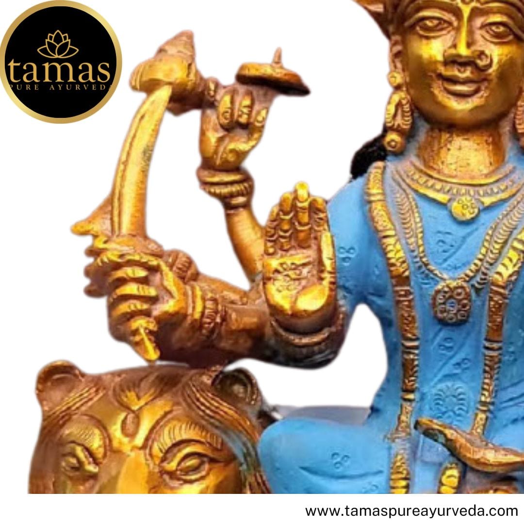Tamas Brass Handcrafted Lord Ambe Maa, Durga Devi, Mata Rani Statue / Idol with Antique Finish (7 x 3 x11 Inches, Multicolour) (Pack of 1) - Tamas: Luxury Indian Gifts