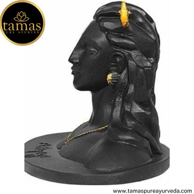 Tamas Brass Handcrafted Lord Adiyogi Mahadev Shiv Shankara Statue/ Idol with Antique Finish (6.5 x 4.5 x 5 Inches, Black) (Pack of 1)