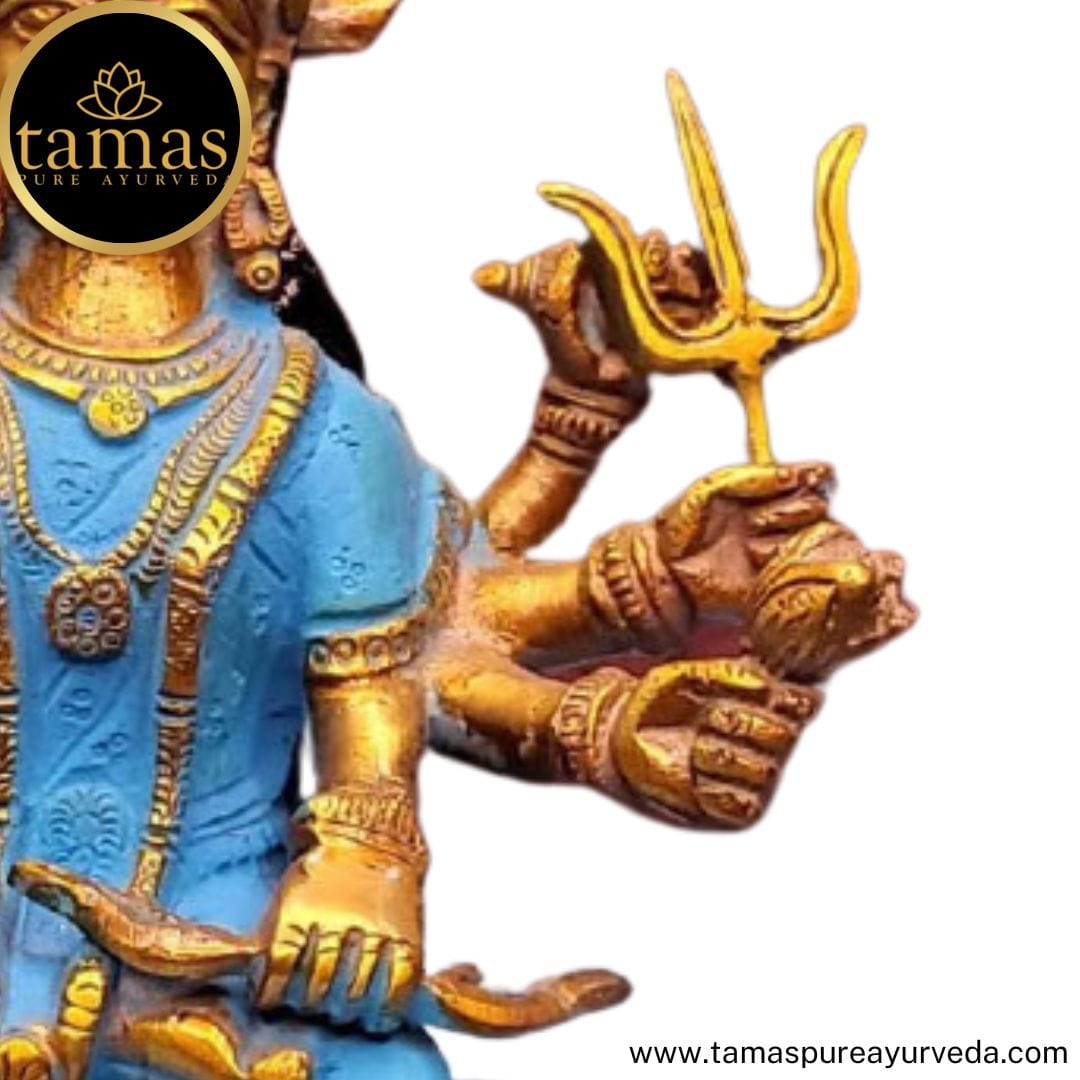 Tamas Brass Handcrafted Lord Ambe Maa, Durga Devi, Mata Rani Statue / Idol with Antique Finish (7 x 3 x11 Inches, Multicolour) (Pack of 1) - Tamas: Luxury Indian Gifts