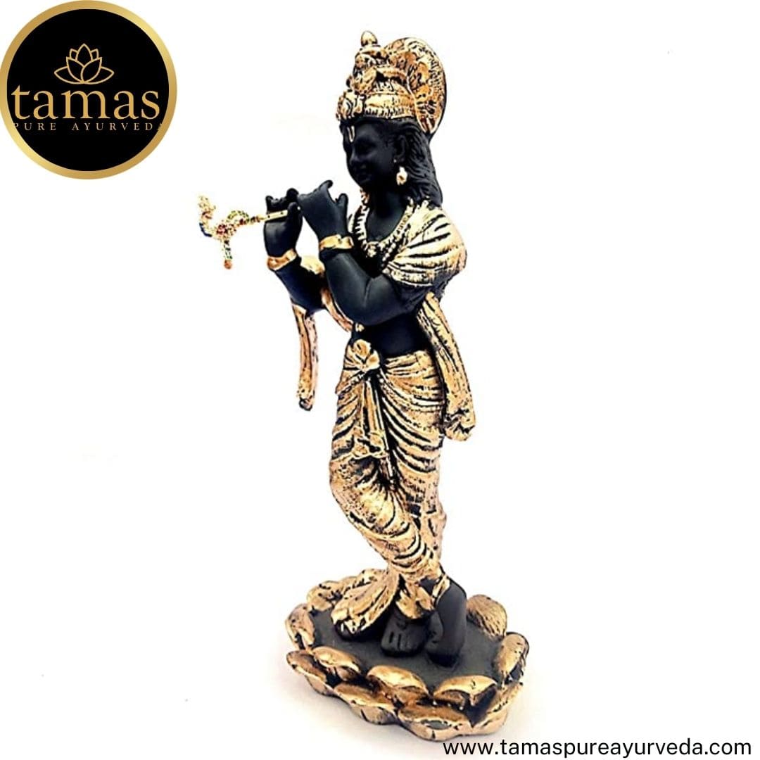 Brass  Lord Krishna Murti Statue Idol
