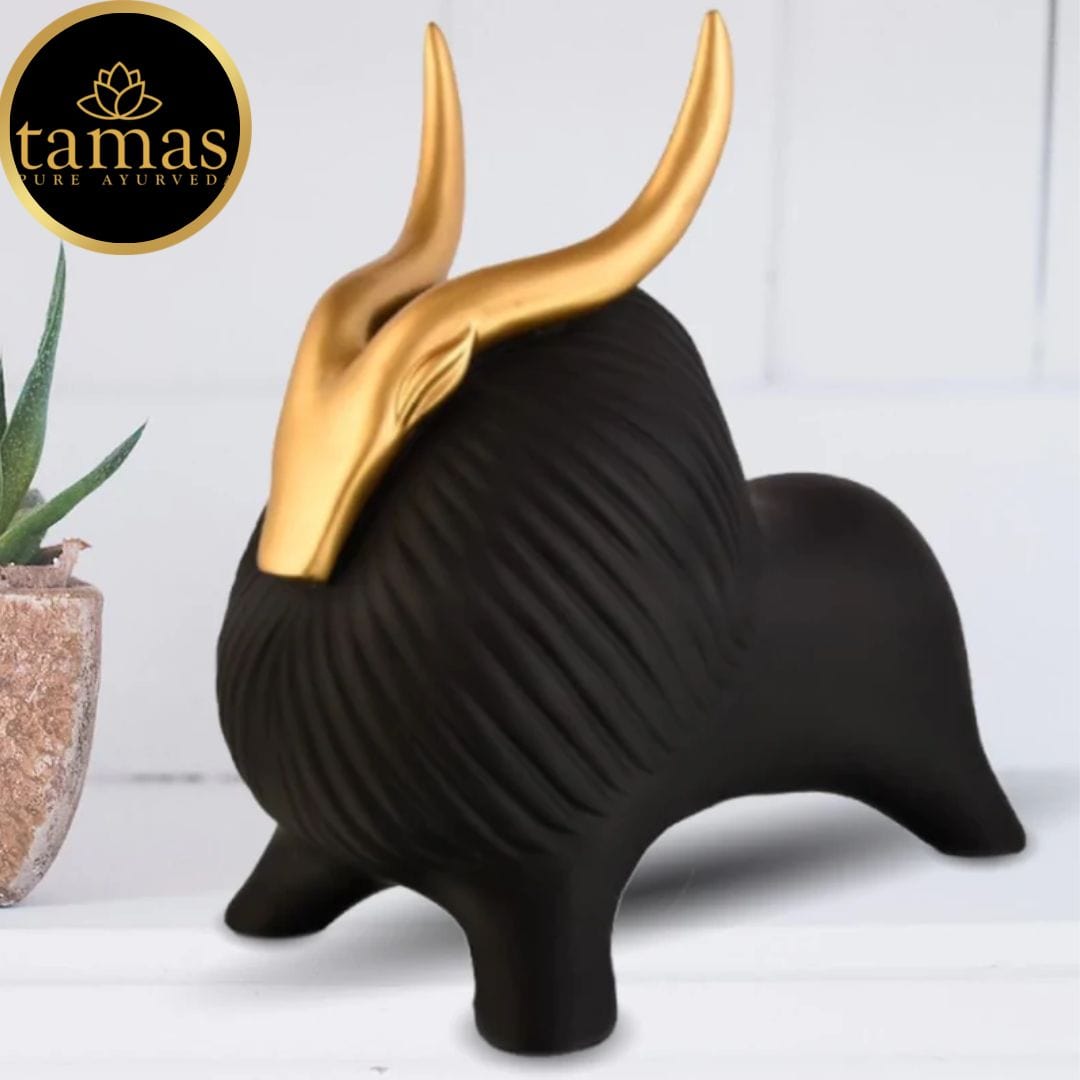 Tamas Himalayan Yak