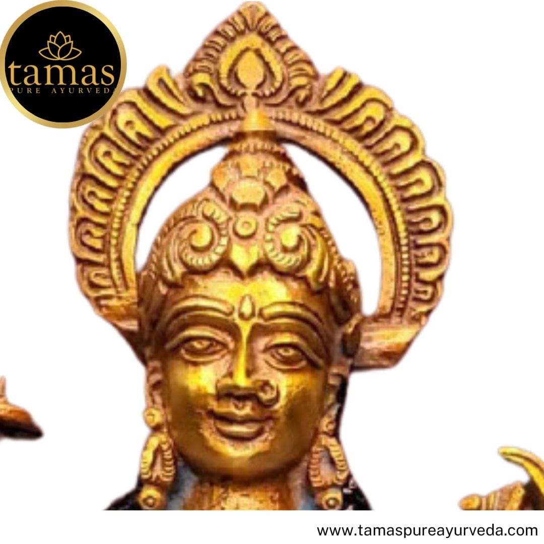 Tamas Brass Handcrafted Lord Ambe Maa, Durga Devi, Mata Rani Statue / Idol with Antique Finish (7 x 3 x11 Inches, Multicolour) (Pack of 1) - Tamas: Luxury Indian Gifts