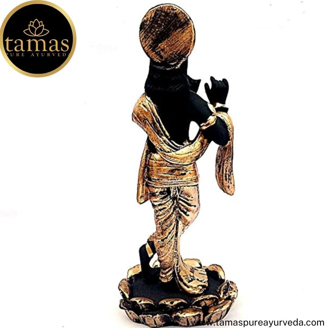 Brass  Lord Krishna Murti Statue Idol