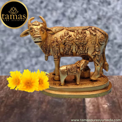 Tamas Brass Handcrafted Kamdhenu Cow and Calf Statue / Idol with Antique Finish (5 x 3.5 x 5 Inches, Golden) (Pack of 1)