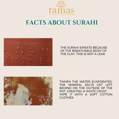 Handmade & Eco-friendly Earthen (Clay/ Terracotta) Surahi With Clay Lid (3l)