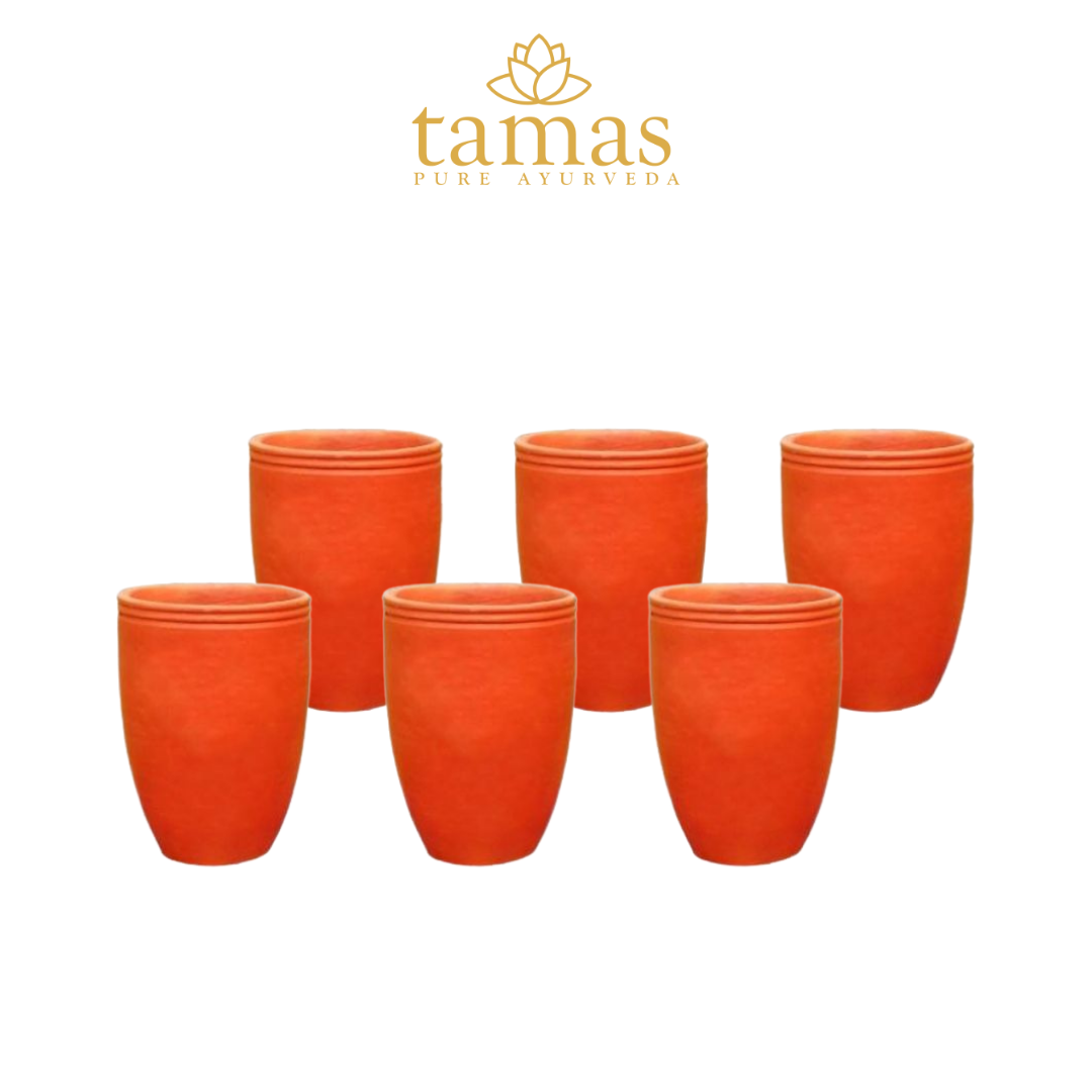 HANDMADE & ECO-FRIENDLY EARTHEN (CLAY/ TERRACOTTA) 6 GLASS SET (300ML)
