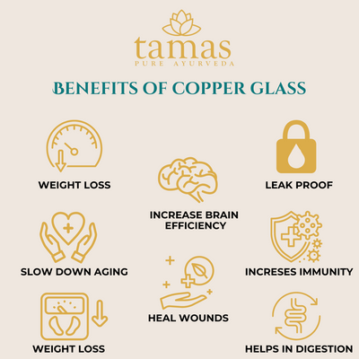 Tamas Big Glass Copper | 300ML