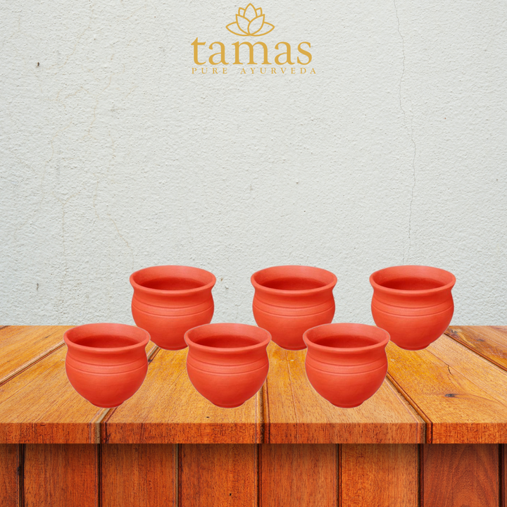 HANDMADE(CLAY/ TERRACOTTA)  KULHAD SET