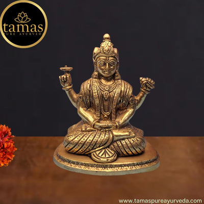 Tamas Brass Handcrafted Lord Badrinath Ji Statue / Idol  with Antique Finish (5 x 3.5 x 5.5 Inches, Golden) (Pack of 1)