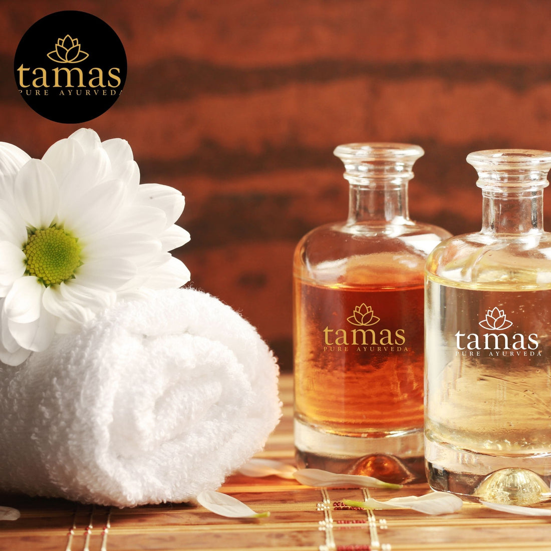Organic Jojoba Cold-Pressed Oil (Simmondsia Chinensis)